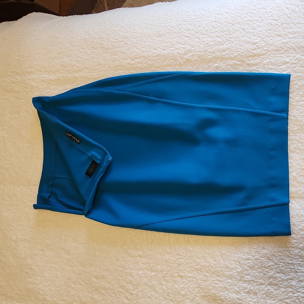 Express  Pencil Skirt